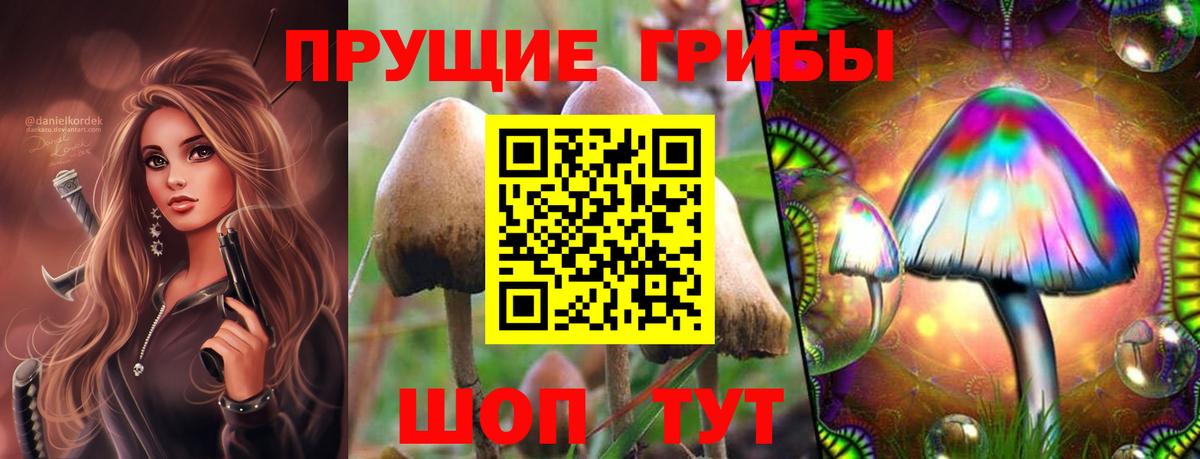 Галлюциногенные грибы мухоморы Калининград